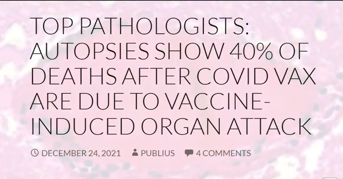 Physicians Report The COVID-19 Vaccine(s) Are Directing The Human Body To Attack Itself In A Vicious And Neverending Immuno-compromised Chemical Cycle - Walls-Work.org