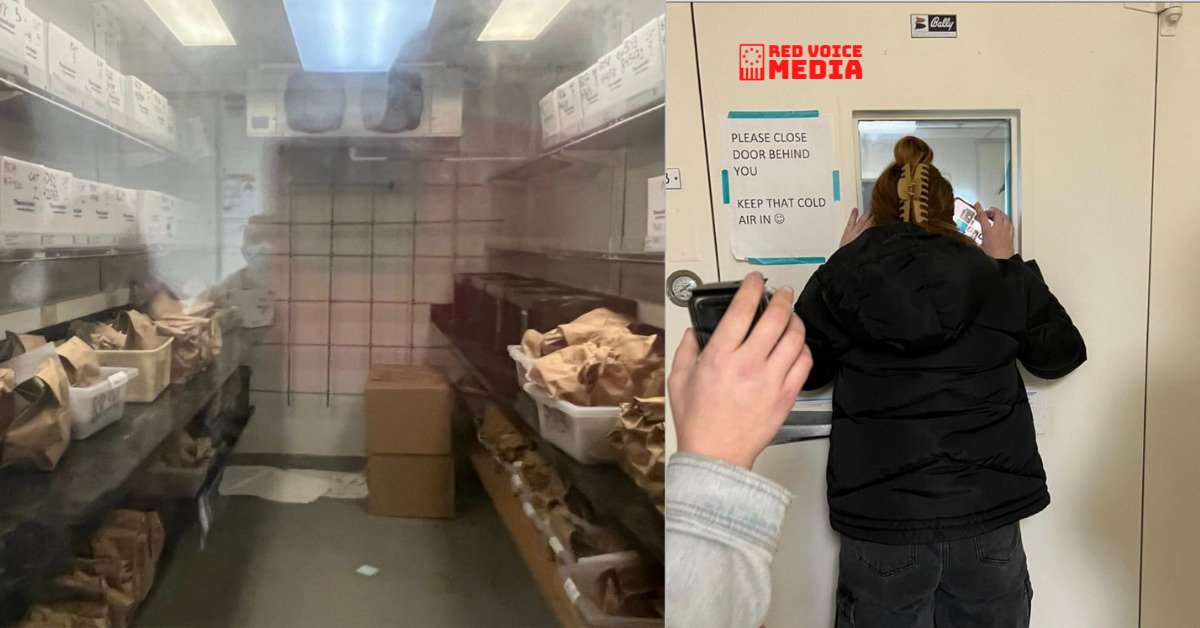 Freezer Full Of Aborted Fetal Parts Found By Pro-Life Activists In Washington