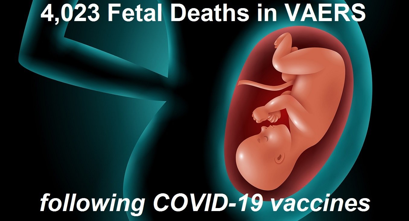 4,023 Fetal Deaths Now Recorded in VAERS Following COVID-19 Vaccines as US Appeals Court Reinstates Vaccine Mandate for Federal Workers