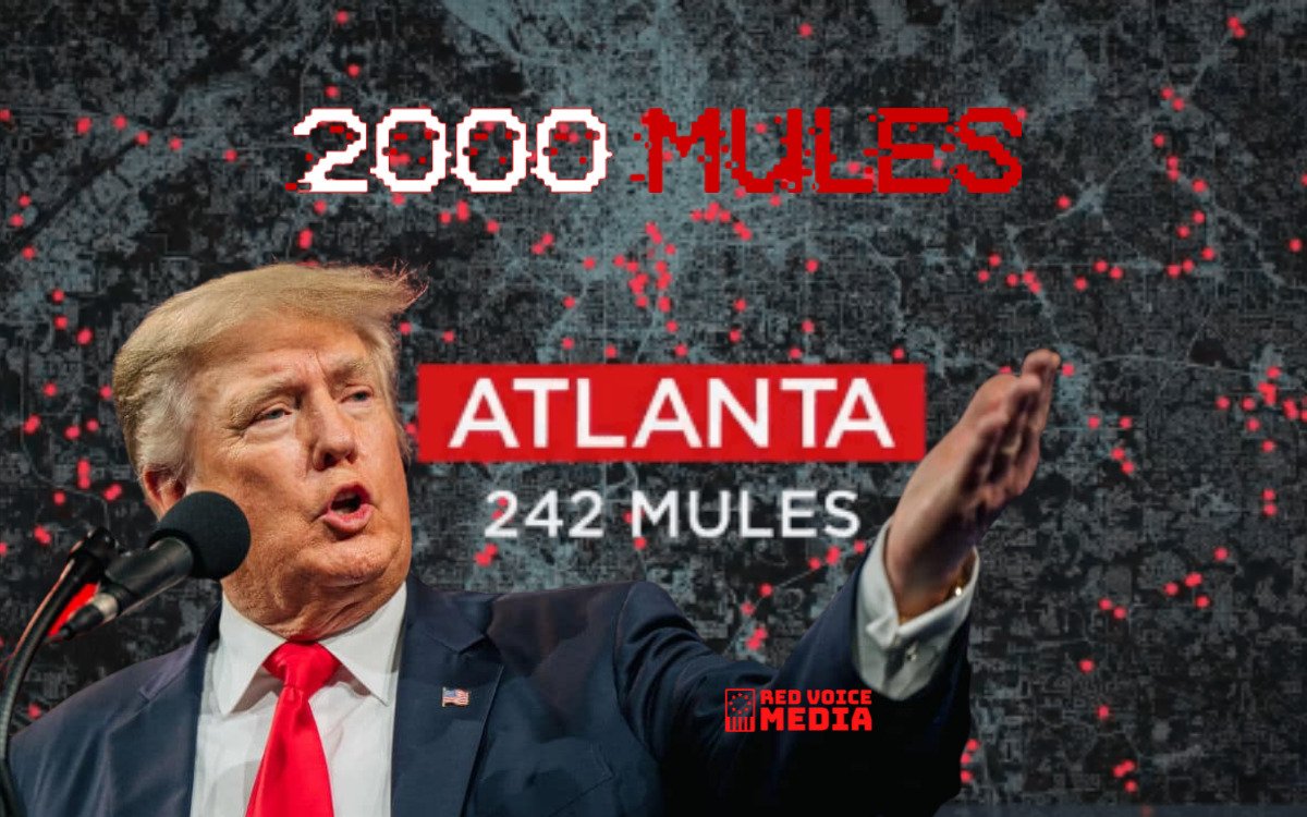 Trump Reveals What 2000 Mules Uncovered Was Given To Georgia Officials & What They Did With It [VIDEO]